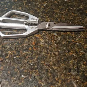 review image 11