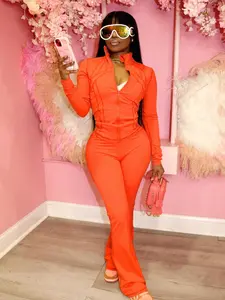 Women's Casual Sporty Two-Piece Set, Tracksuit Set, Long Sleeve Zipper Design, Regular Fit, Fall & Winter, Fashionable Women's Clothing, Casual Workout Loungewear, Sportswear Set