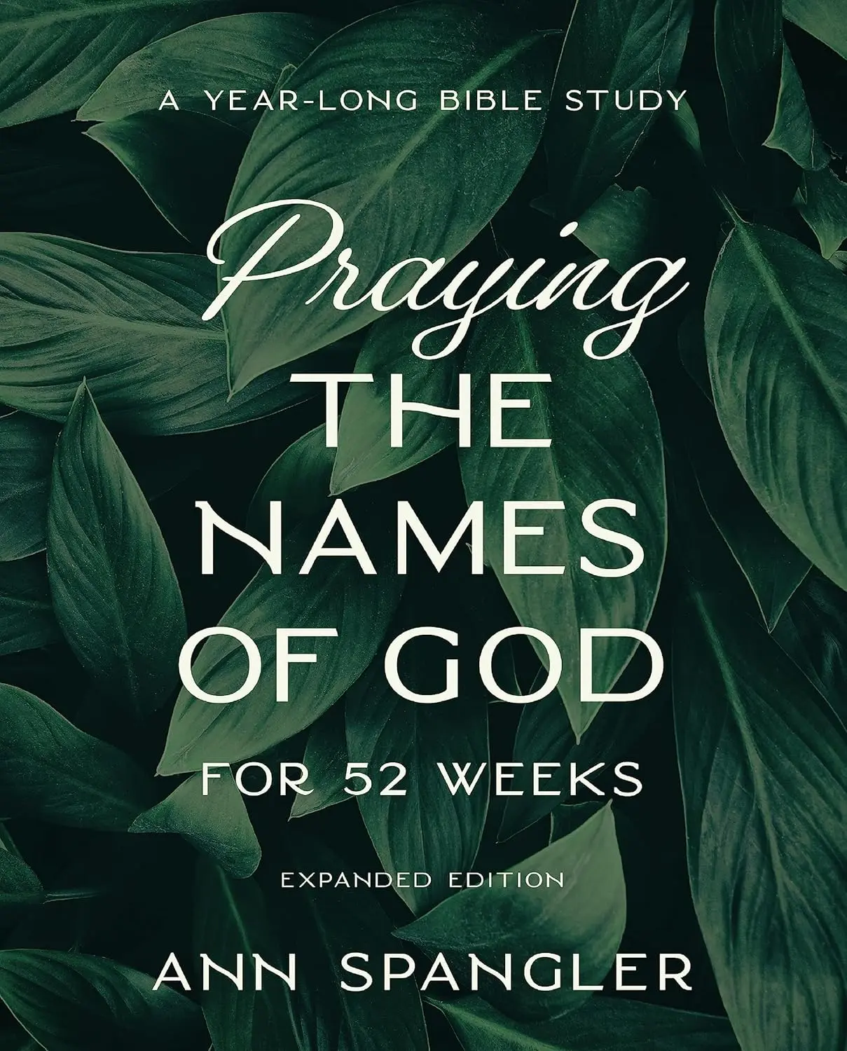 Praying the Names of God for 52 Weeks, Expanded Edition: English Bible Study Trade Paperback by Ann Spangler - Over 100,000 Copies Sold, Guidance to Pray & Personal Reflection for Deeper God Experience