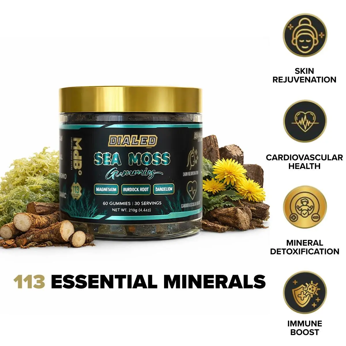 Dialed Moods Sea Moss 60 Gummies | 30 servings | Supports: Skin Rejuvenation, Cardiovascular Health, Mineral Rich Detox, Immune Boost Daily Dietary Supplement Herbal Energy Supplement