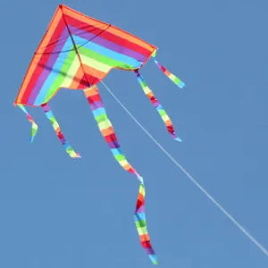 Easy Fly Colorful Rainbow Outdoor Fun Sports Beach Buitenspeelgoed Cometas De Viento Outdoor