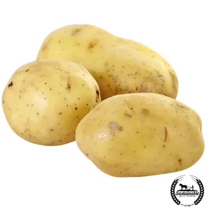 Seed Potatoes - Spring - Yukon Gold (Organic)