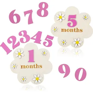 12 Months  Monthly Milestone Cards, Daisy Monthly Milestone Signs with 11 Interchangeable Numbers Wooden  Milestone Blocks for  Growth Recording Photo Props