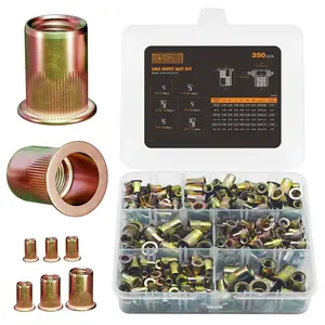 Rivet Nut Assortment Kit (250 Pcs) - UNC SAE Rivnut Threaded Insert Nuts - Includes #6-32, #8-32, #10-24, 1/4"-20, 5/16"-18, 3/8"-16 Flat  Nutserts, Zinc-Plated Carbon Steel