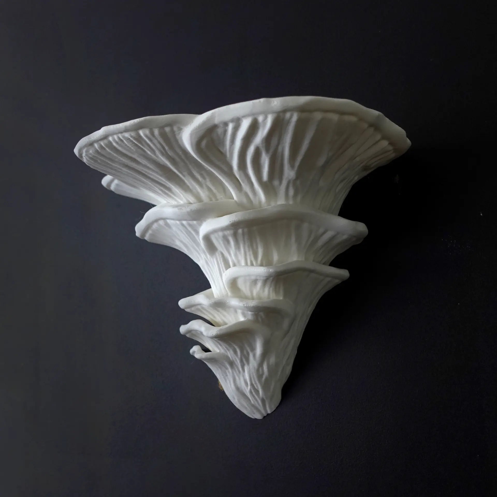 Djamor Fungus Mushroom Shelf designed by Gazzaladra with Cottagecore/Fairycore aesthetic Decor Shelves Nature Decorative Nature