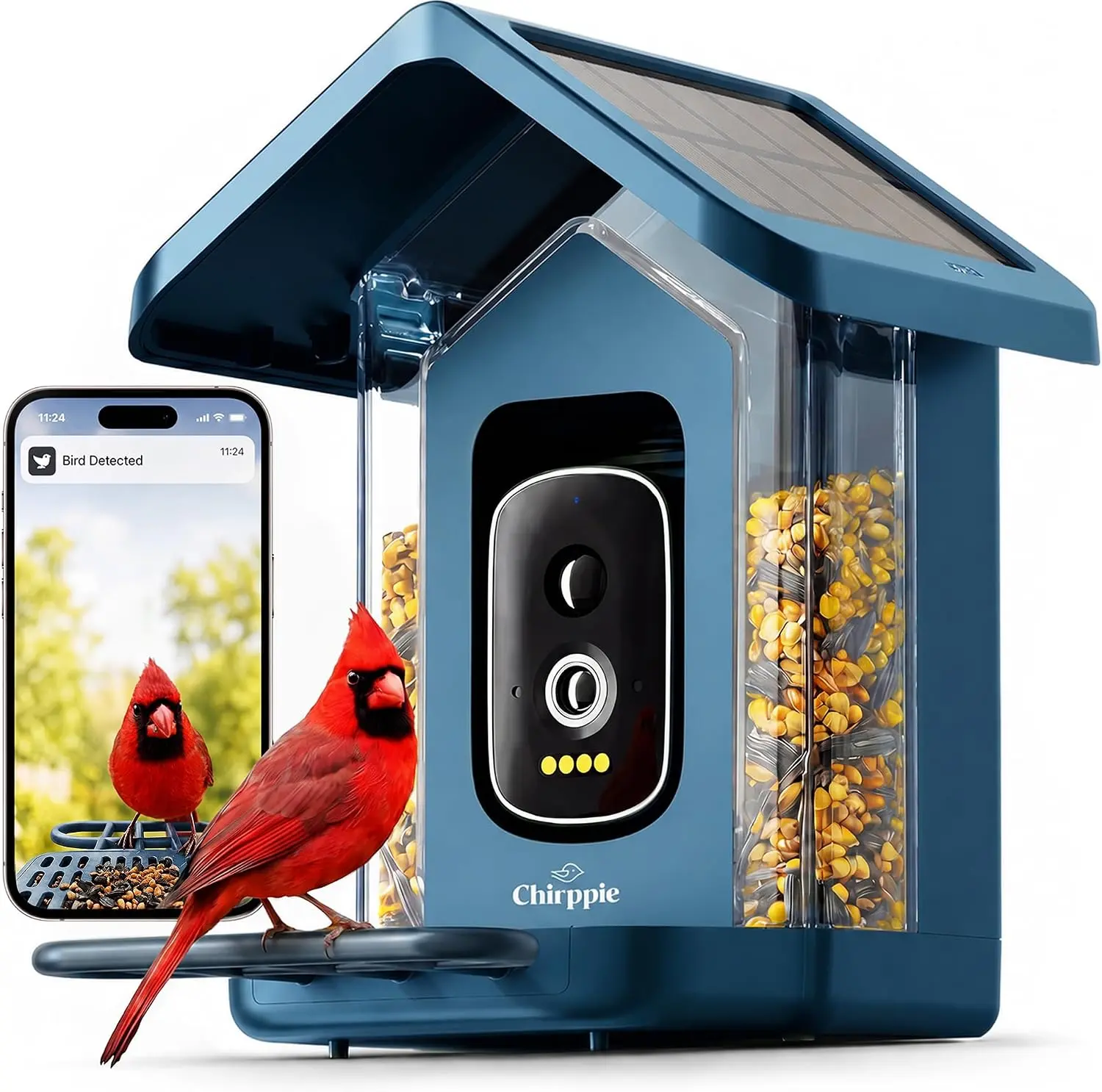 Solar Powered Smart Bird Feeder with Camera — 2K HD Video Bird Feeder with AI Bird Identification, Wireless 2.4 GHz WiFi Outdoor Birdhouse Camera with Live Feed — Gift for Bird Lovers