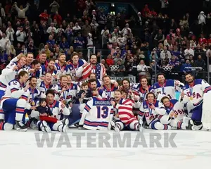 2026 USA HOCKEY TEAM 8x10 Photo Gold Medal Print Milano Cortina Poster (No Frame)