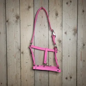 Solid colored biothane halters