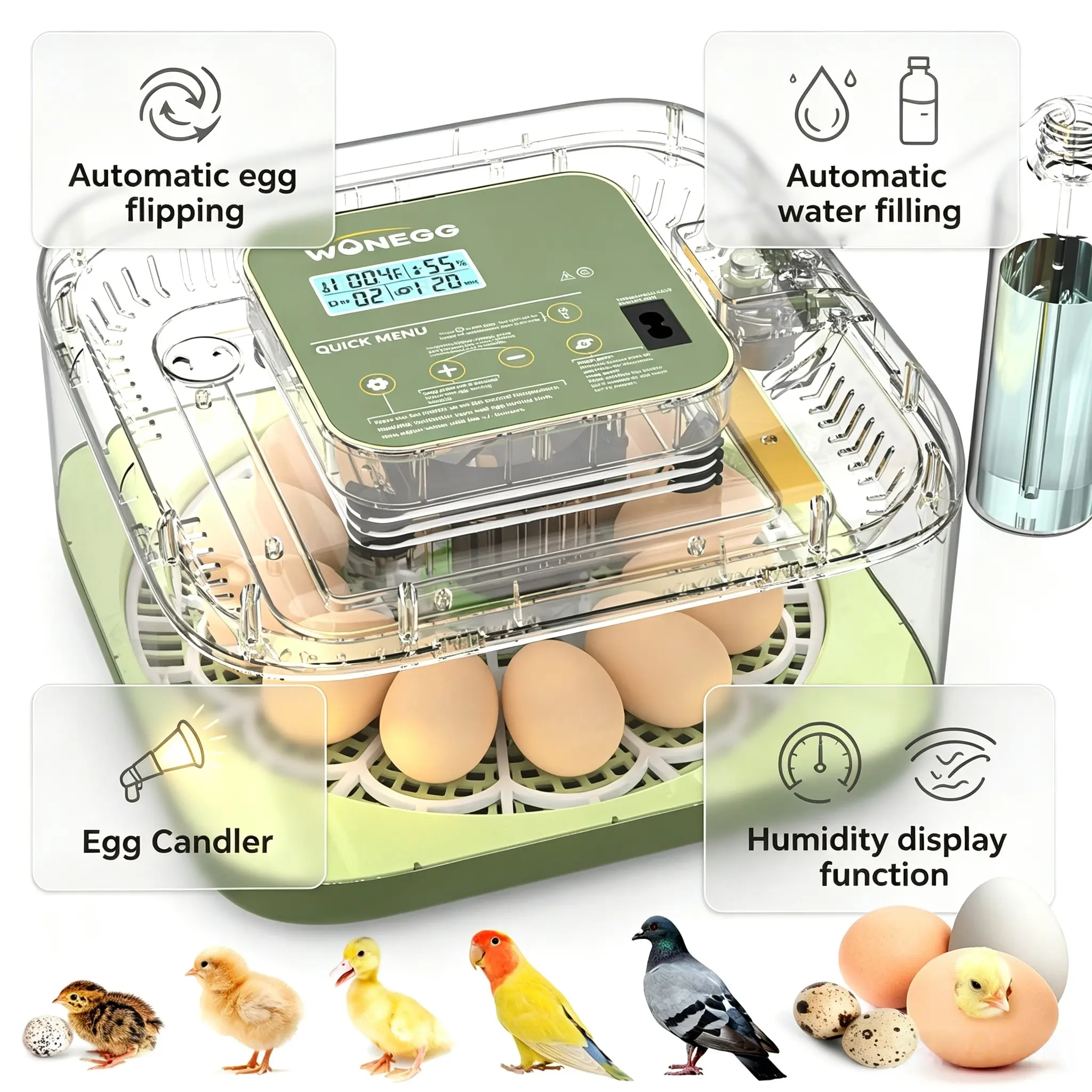 12 Egg Incubator for Hatching Eggs, Egg Incubators with Automatic Egg Turning, Temperature and Humidity Control, Egg Candler, Automatic Water Bottle Refill, Incubator for Chicken, Ducks, Goose