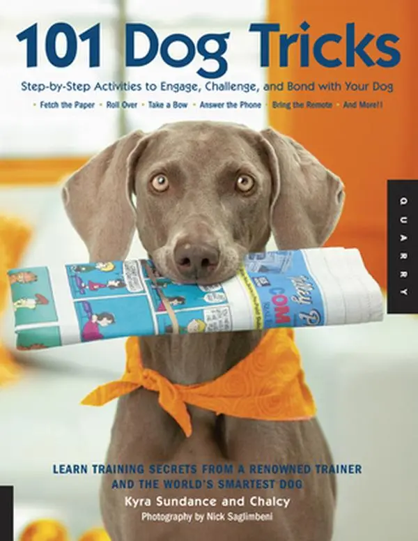 USED Book - 101 Dog Tricks: Step by Step Activities to Engage, Challenge, and Bond with Your Dog by Sundance, Kyra (Paperback) - english