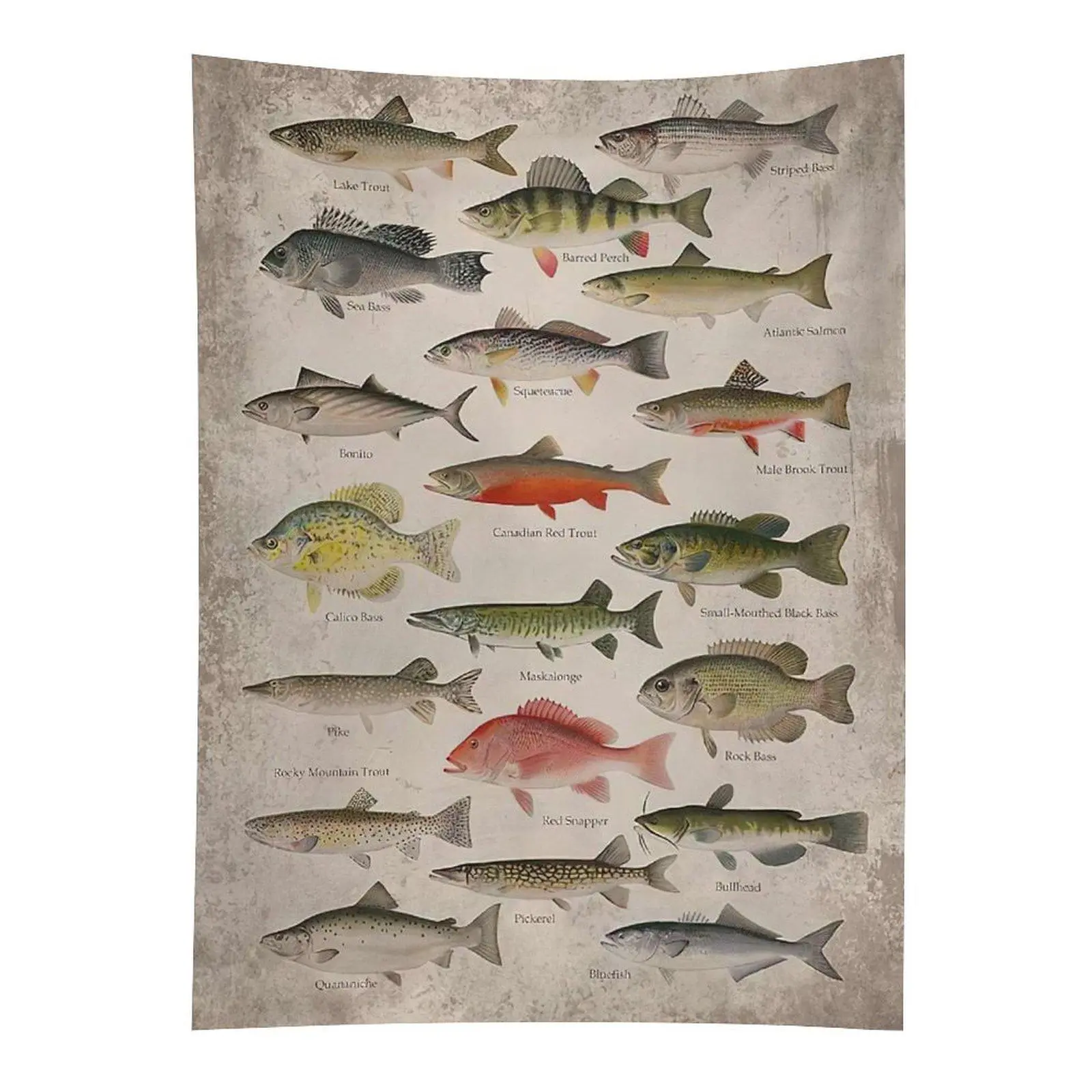 Vintage Fish Species Chart Tapestry Fishing Animal Wall Hanging Decor