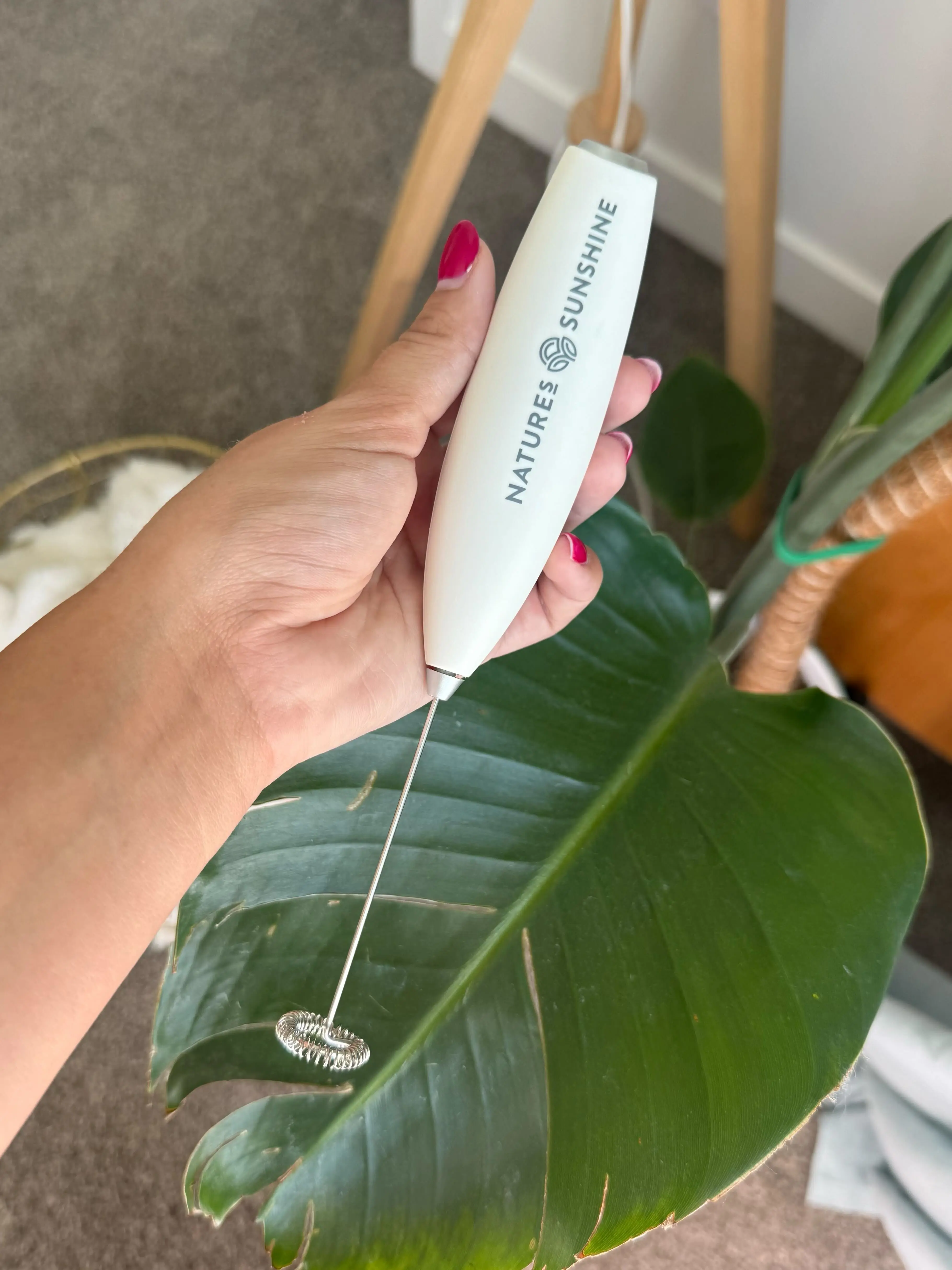 Handheld Mixer, Frother: Nature's Sunshine