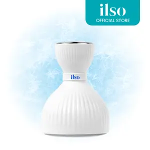 ILSO Dual Cooling Master, Color-Changing, Tighten Pores, Cooling Facial Massage Tool, Stainless Steel