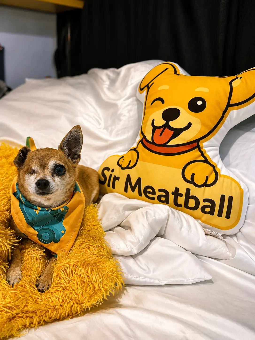 Sir Meatball Shaped Pillow