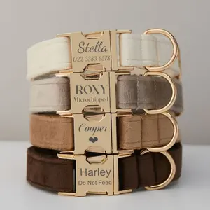 Elegant Velvet Dog Collar Leash Set With Bow - Multiple Colour Soft Cotton Lining Metal Buckle Traction Rope