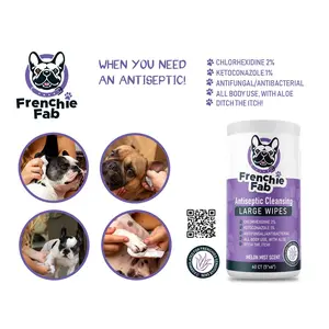 Antiseptic Large Body Wipes 60 ct. (Ear, Face and Skin)