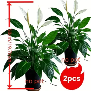 2 outdoor artificial green plant sets, Artificial Flowers For Outside. Rain-resistant design with fake flowers and grass. For photography, home decor, gardens, weddings. Perfect for Christmas, seasonal themes