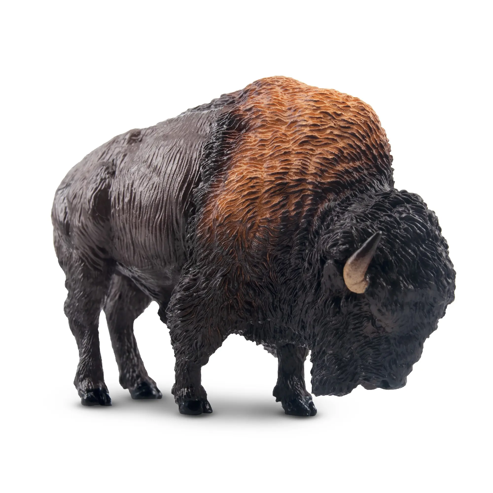 TOYMANY Plastic American Bison Figurine - 100.7g Hand-Painted PVC Collectible Statue, Unisex Ages 3 and Up Early Education Tool, Decor Ornament with Storage Box, Art Toy Collectible, Animal Design, Kids Favorites