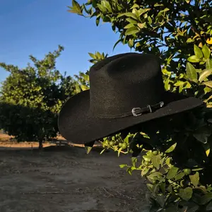 Tejana 50x Estilo Sinaloa