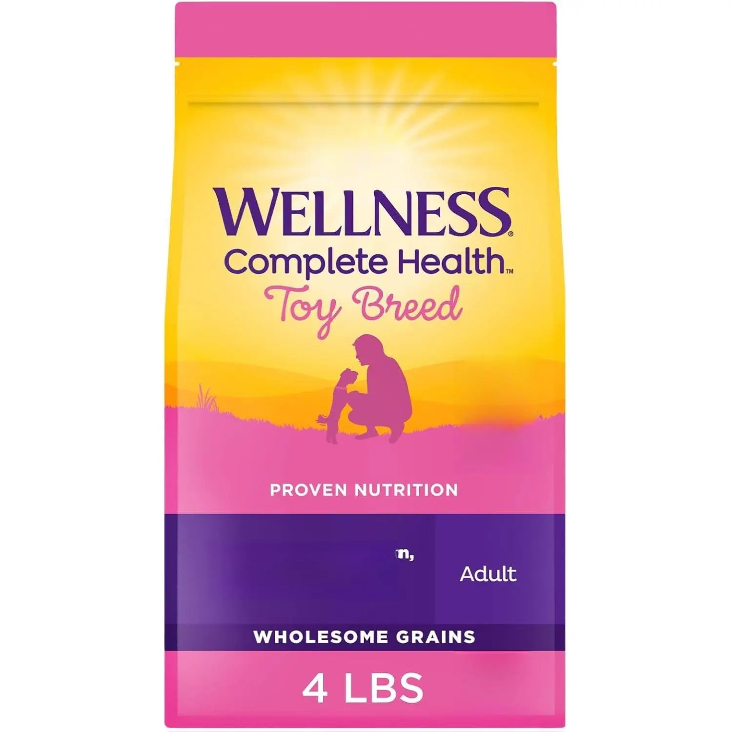 Wellness Complete Health Dry Dog Food for Small Dogs, Toy Breed, Wholesome Grains, Natural, Chicken, Brown Rice, & Peas Recipe, 4-Pound Bag)