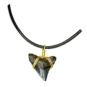 REAL Shark Tooth Necklace Handmade Fossil jewelry women men