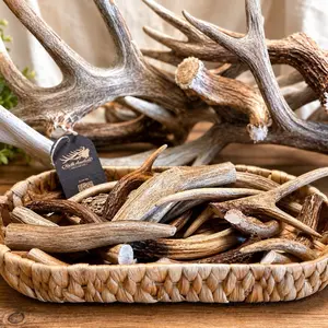 Antler Chew Variety Pack for Dogs, All-Natural, Long-Lasting Dental Chew Treats