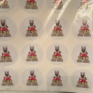 FLAKTCGHITS STICKER
