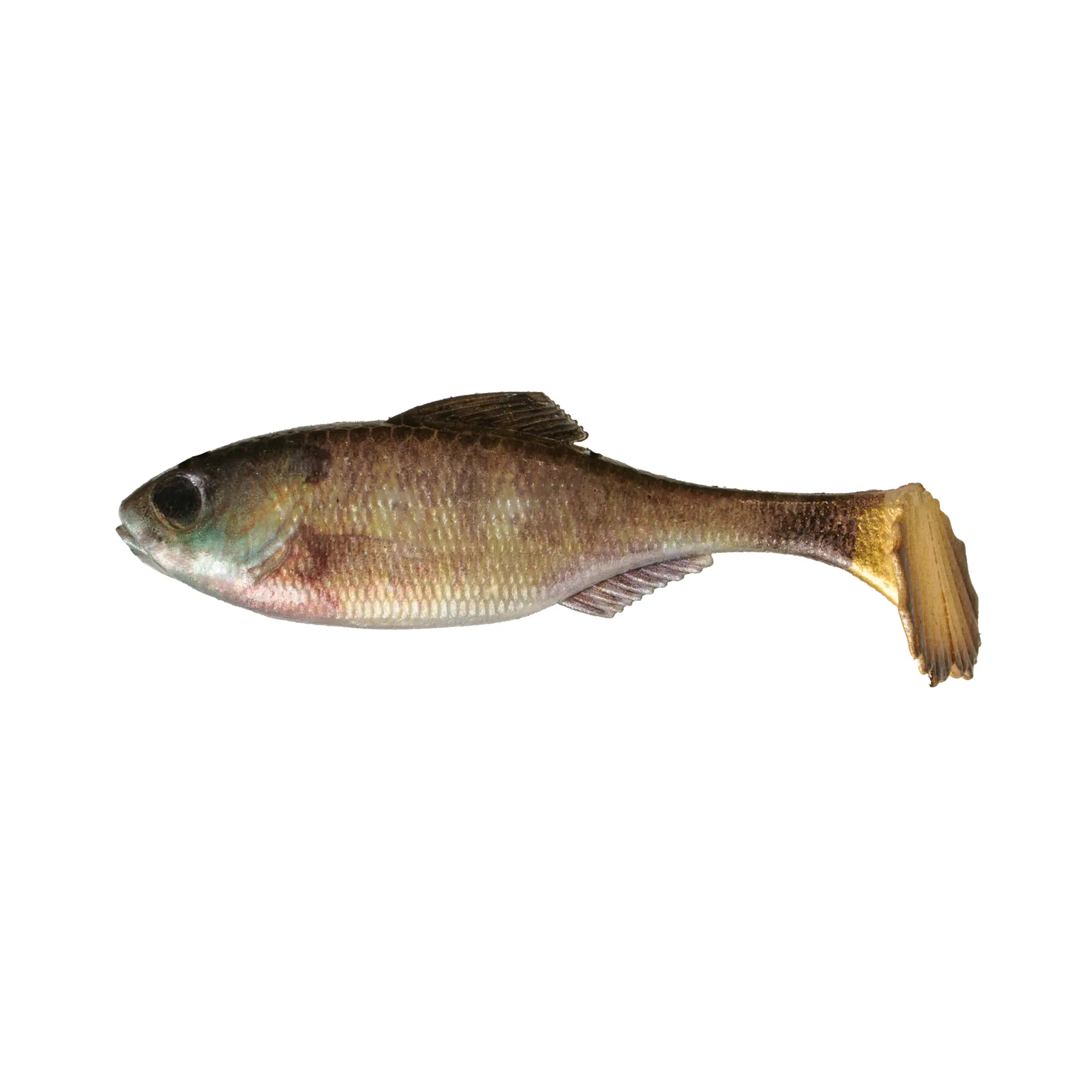 HRDELAO Panorama Unrigged Swimbait, Soft Plastic Fishing Lure with Lifelike Action that Draws Strikes, Versatile for Custom Rigging, Multiple Sizes 2.3"-6.0", Lifelike Action Draws Strikes, Customizable, Multi-Size, Bass Fishing Lures, Plug-And-Play Conve