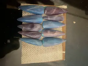 Blue cat eye nail