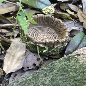 1Pc Rustic Tree Stump Reptile Food Bowl, Tree Stump Water Dish, Pet Feeding Plate For Terrariums, Suitable For Tortoises, Lizards, Geckos, Frogs, Spiders, Snakes