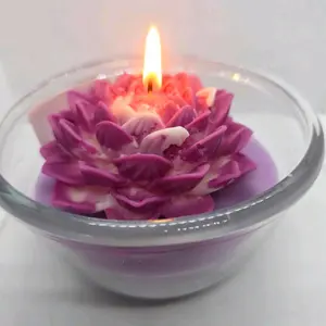 Blooming Lotus