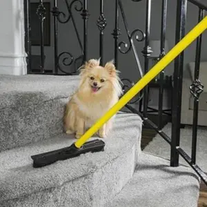 Pet Hair Remover Broom and Squeegee Combo