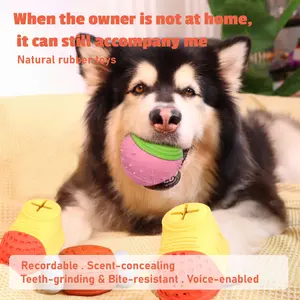 Pet Balloon Loaf Bone Interactive Voice & Dog Toy - Shake-to-Play Rubber Toy for Puppies and Dogs in Orange Blue Green Yellow Colors summerwins