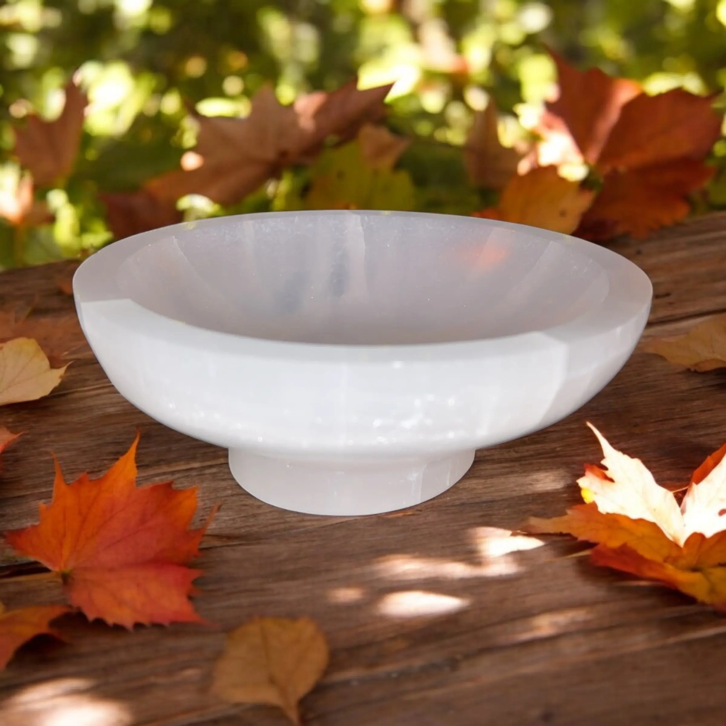 Enchanted Selenite Bowl