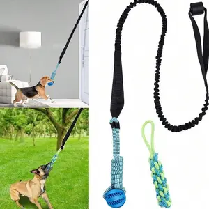 Spring Pole Dog Rope Toys - Tug of War Dog Toy for Pitbull Medium to Large Dogs, Indoor Outdoor Use Bungee Hanging Exercise Ropes Muscle Builder Interactive Toys (Door Hanging Style)