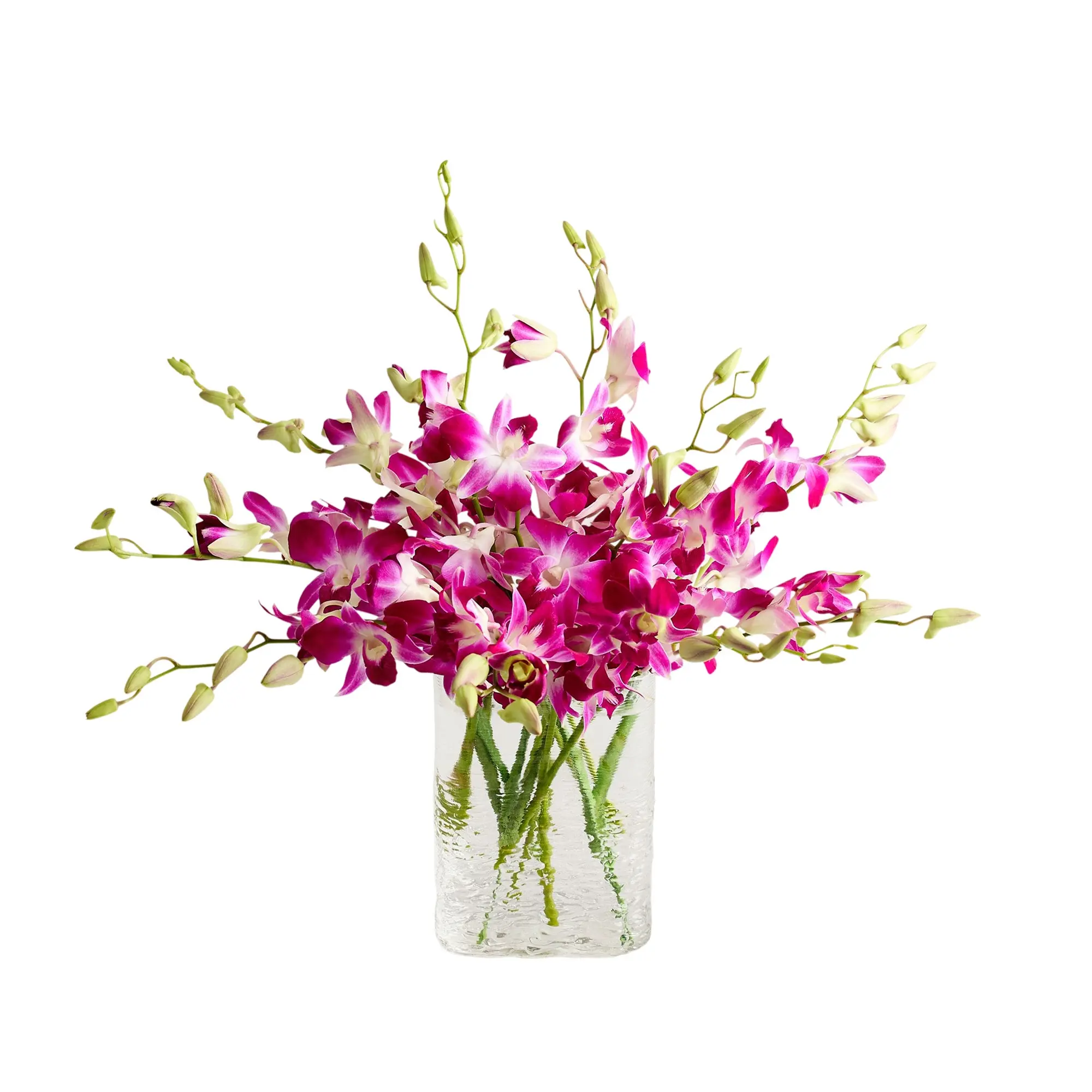 1800 Flowers – 10 Stem Exotic Breeze™ Orchids with Clear Vase