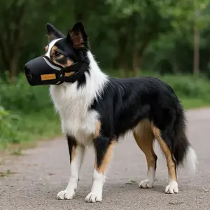 Pet Dog Mouth Cover Anti-Bite Anti-Cry Anti-Choking Dog Mask Breathable Mesh Adjustable Face Shield Pet Supplies
