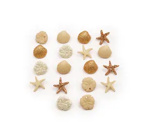 Tiny Seashells Beach Ocean Themed Buttons