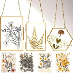 Pressed Flower Display Frame with Real Dried Flowers - Includes Tweezer for Handicrafts, Photos, and Keepsakes - Reusable Glass Frame for Preserving Memories - Perfect for DIY Art and Home Decor