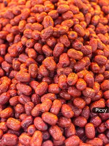 Premium Organic Afghani Oleaster (Senjed) 1 lb | Traditional Dried Fruit Snack | High Fiber Superfood | Natural, Vegan & Nutrient-Rich Healthy Snack