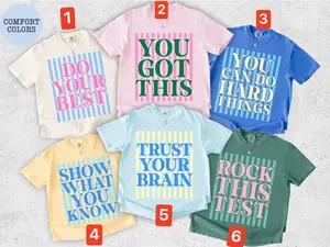 School Test Day Shirt, Motivational Student Tee, Encouraging Quote T-Shirt, Matching Classroom Outfit, Positive Message Graphic Tee, Soft Washed Relaxed Fit Casual Shirt