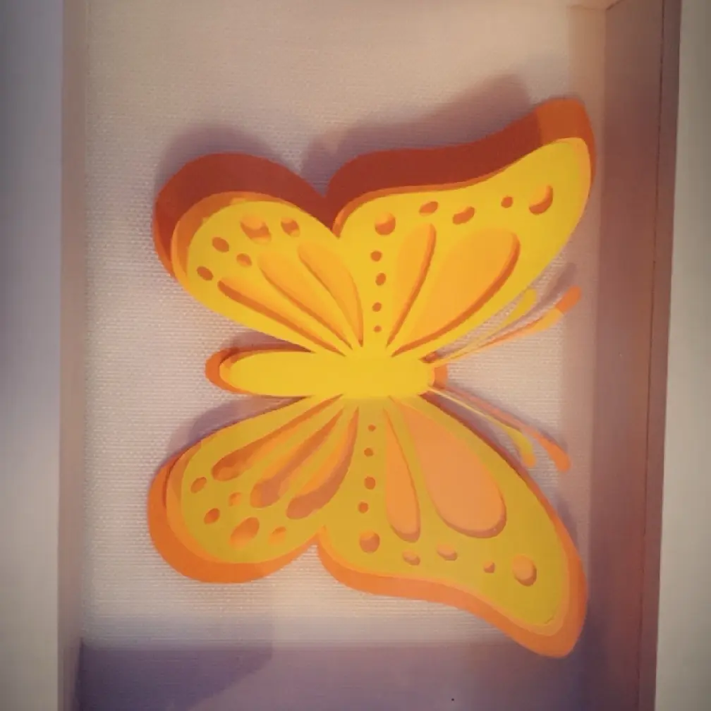 Butterfly shadow box