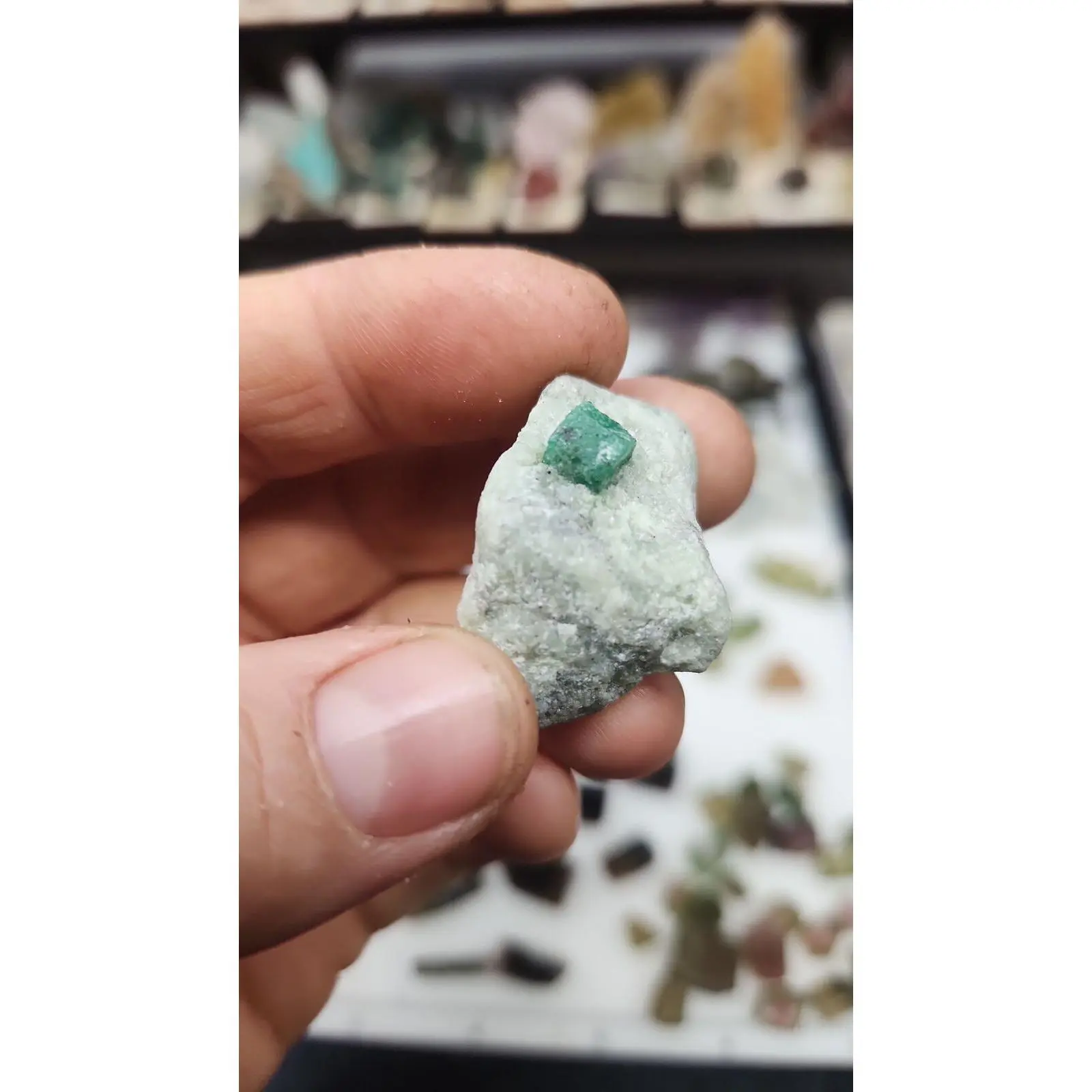 Natural Emerald Crystal Specimen - Green Beryl Gemstone (#72)