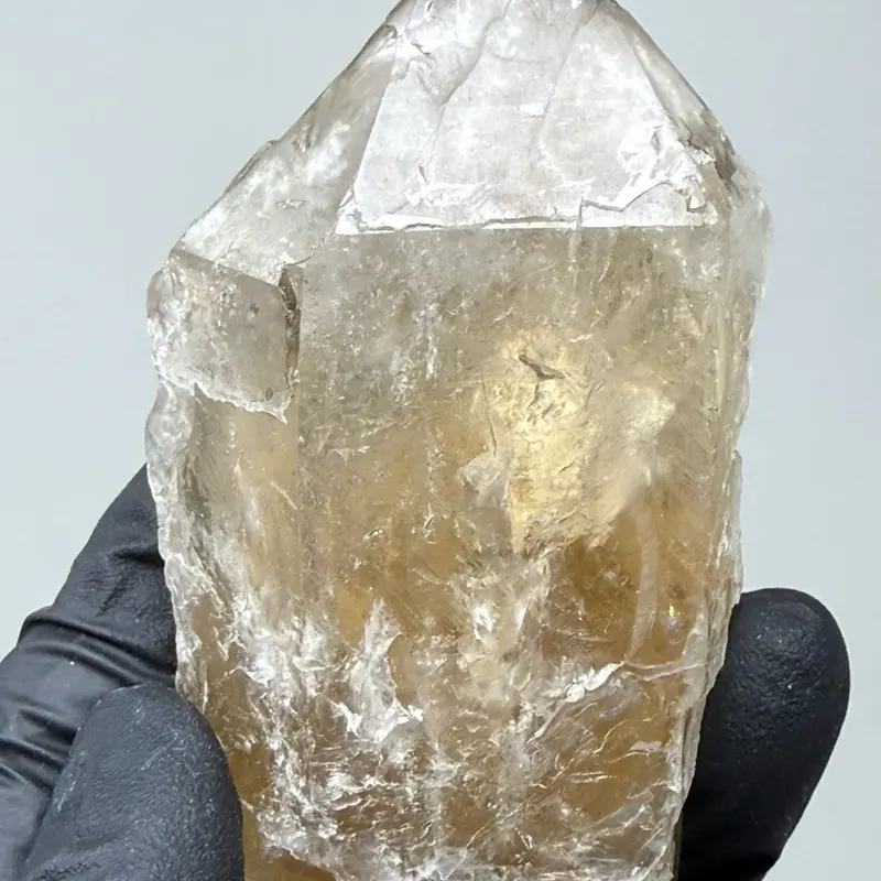 3.25” Rare Natural Alligator Citrine Specimen - Elestial Citrine & Smoky Quartz