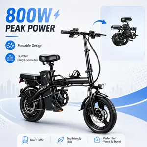 Folding Electric Bike for Adults, Compact Commuter E-Bike, 800W Peak Motor, 50KM Range, Portable Design long-lasting battery