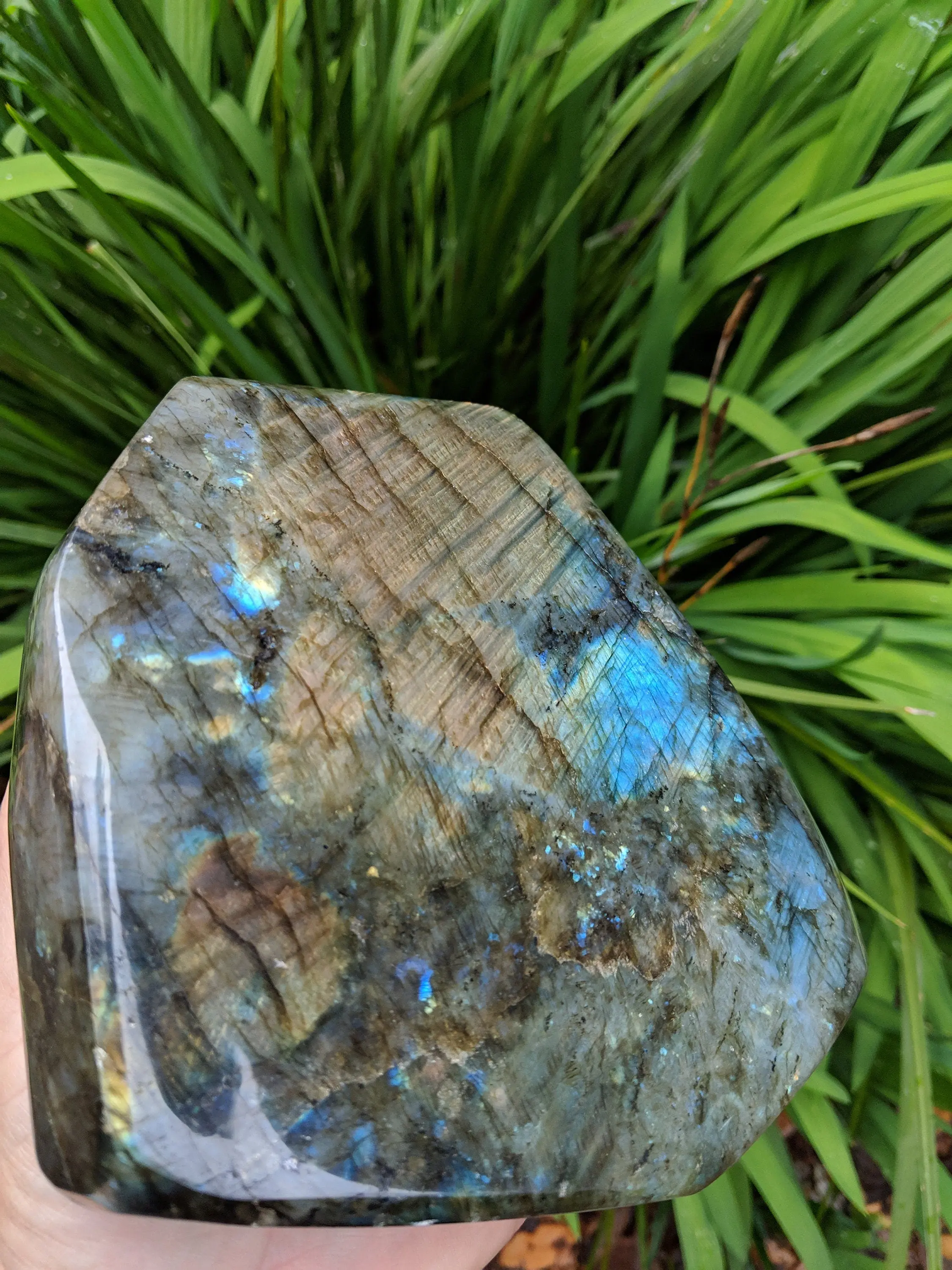 Large Polished Labradorite Free Form Standing Tower Slab w/ Rainbows Healing Crystal Feldspar Mineral Spectrolite natural stone specimen