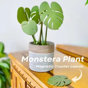 Pavilion3DPrinting  3d Printed Monstera Coaster Plant- Coaster holder disguised as a beautiful plant! Perfect for kitchens, or any other space in need of green!