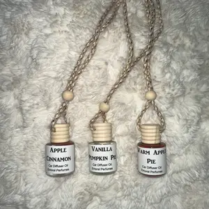 Fall and Halloween car diffuser- vanilla pumpkin pie, apple cinnamon, warm apple pie