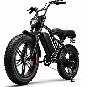 2000W Peak Electric Bike for Adults, 28.5MPH Fast Speed, 48V15Ah Removable Battery, 20"x4.0" Fat Tire Ebike, 50 Miles Range