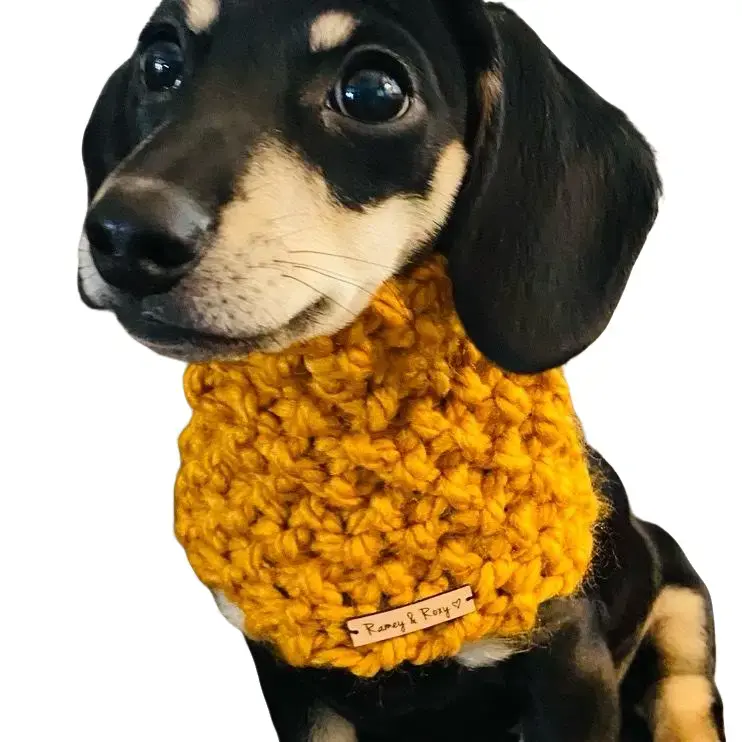 Ramey and Roxy Hand Knitted Dog Cat Snood Neck Warmer Scarf Autumn Leaves Color Soft Cozy Pet Accessory for Cold Weather Comfort 8.5 Inches Circumference